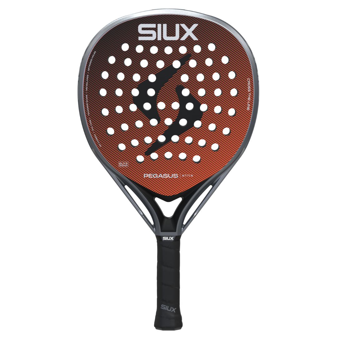 Siux Pegasus Elite 4 2026